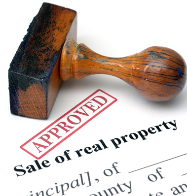 Expert Testimony and Analysis